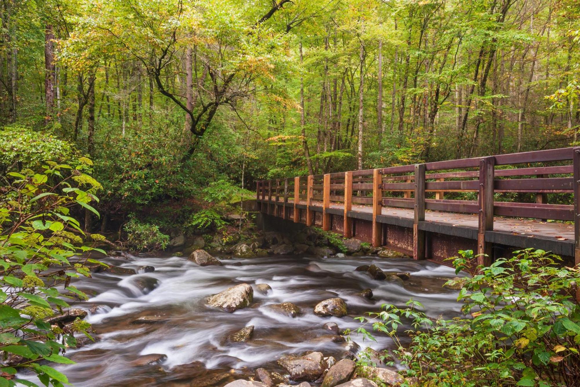 Moonshine Chalet, Hot Tub, Pool Access, Wifi, 1089 Free Tickets Each Paid Day, Dollywood And More Gatlinburg Dış mekan fotoğraf